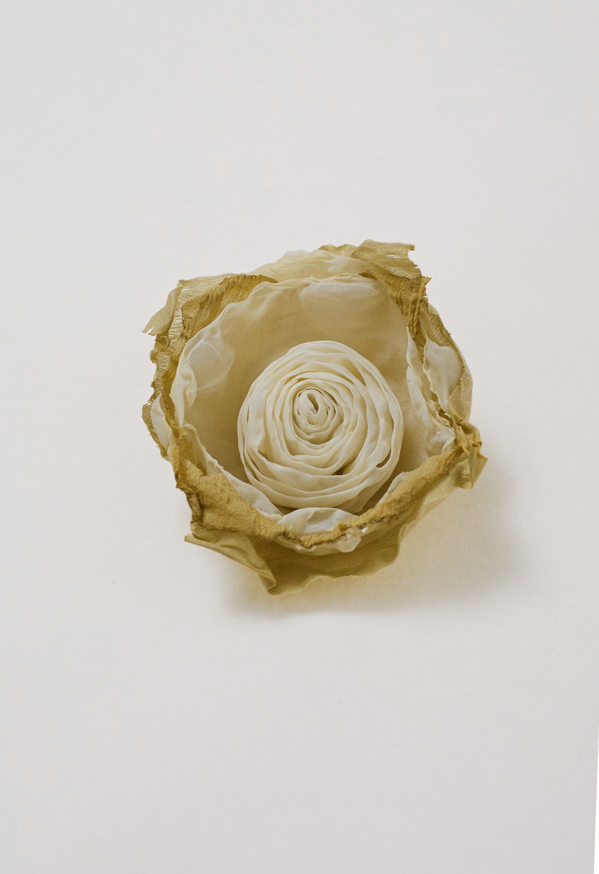 Top transparente con textura y mangas abullonadas con broche de rosas en color caqui